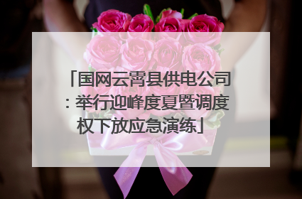 国网云霄县供电公司：举行迎峰度夏暨调度权下放应急演练
